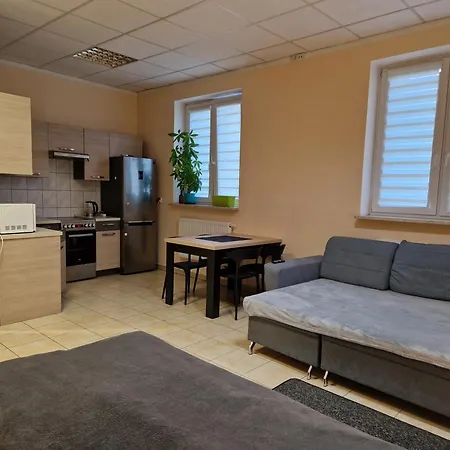 Sawago Plocka I Pietro 30m2 - Samodzielne Zameldowanie Apartamento Ciechanów